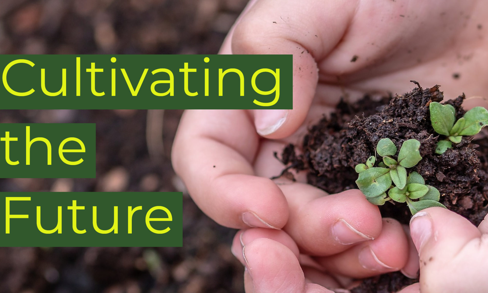 Cultivating the Future