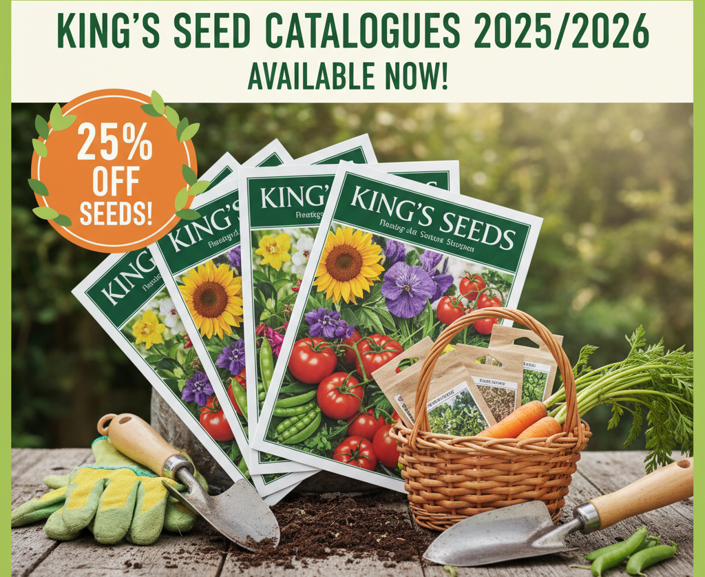 King’s Seed Catalogues 2025-2026 Available Now!